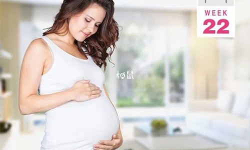 怀孕六个月引产需要多少钱-怀孕六个月牙痛咋办网怀孕六个月肚子多大知识网站,分享怀孕六个月肚子多大大全